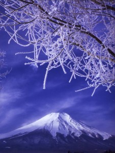 ＴＫ富士樹氷
